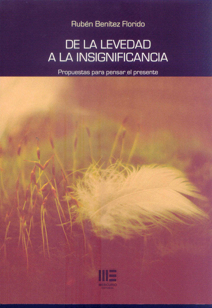 DE LA LEVEDAD A LA INSIGNIFICANCIA. PROPUESTAS PARA PENSAR, de BENITEZ FLORIDO | portada del libro