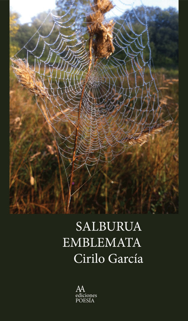 SALBURúA EMBLEMATA, de GARCíA ROMAN, CIRILO | portada del libro