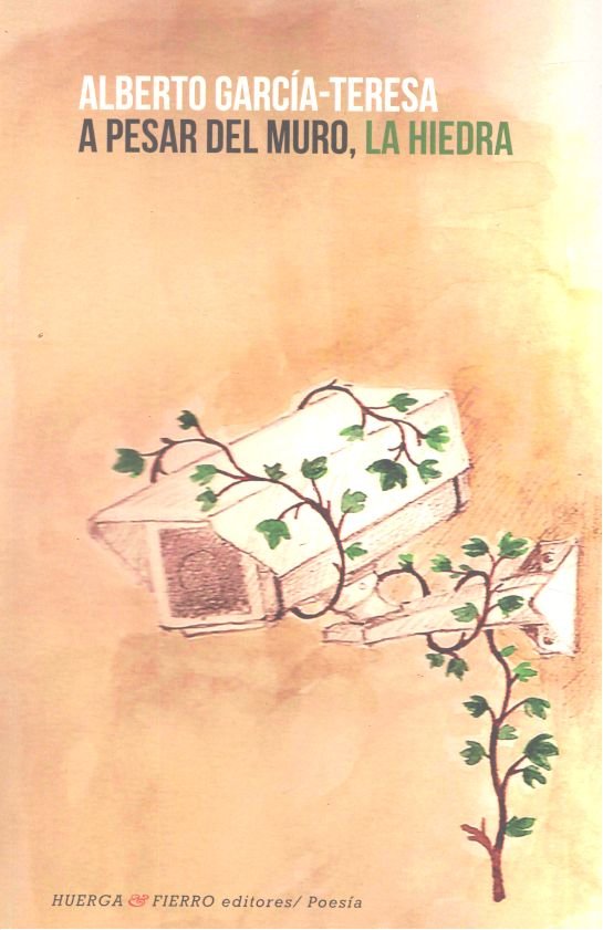 A pesar del muro, la hiedra, de García-Teresa, Alberto (1980-) | portada del libro