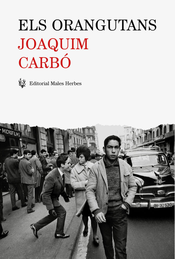 Els orangutans, de Carbó Masllorens, Joaquim | portada del libro