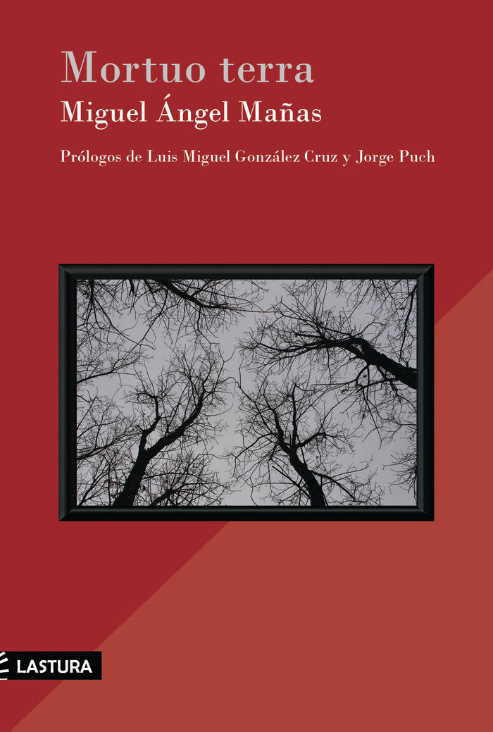 MORTUO TERRA, de MAÃ‘AS, MIGUEL ÃNGEL | portada del libro