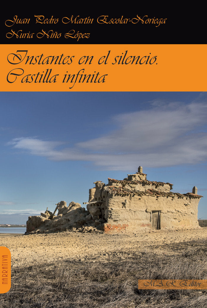 Instantes en el silencio. Castilla infinita., de Martín Escolar-Noriega, Juan Pedro | portada del libro