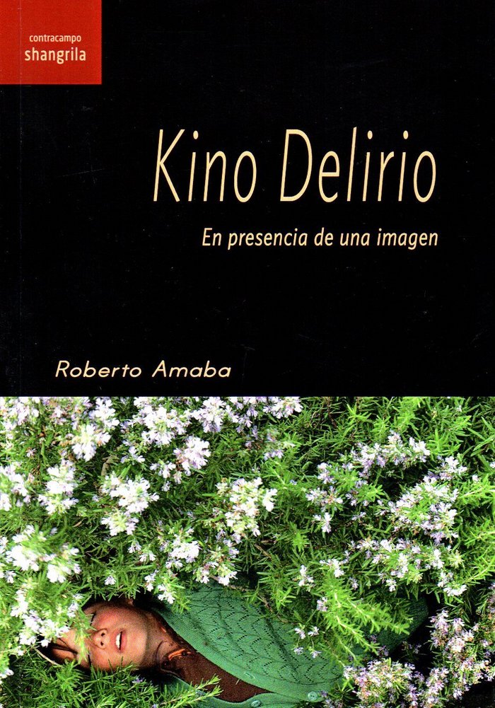 KINO DELIRIO, de Amaba | portada del libro
