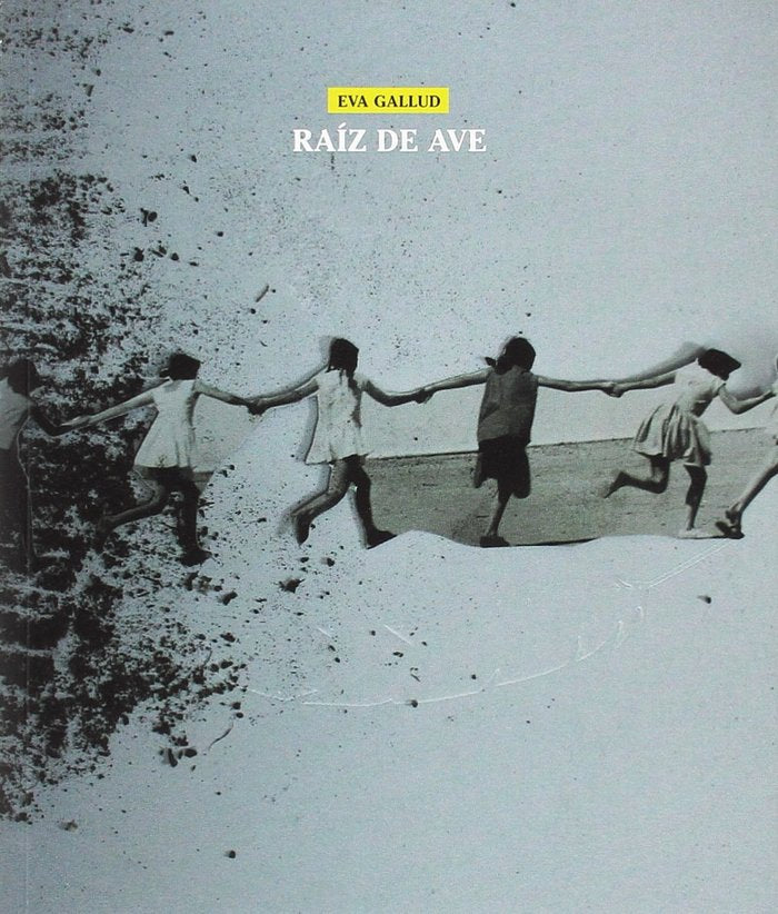 Raíz de ave, de Gallud, Eva | portada del libro