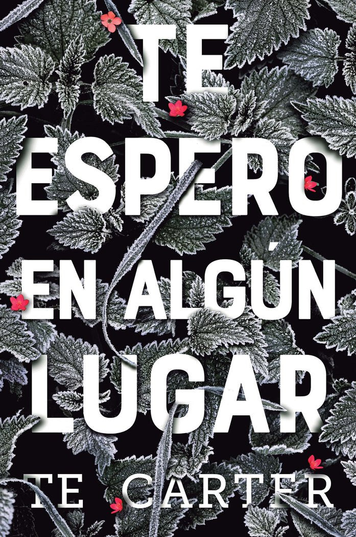 Te espero en algún lugar, de T.E. Carter | portada del libro