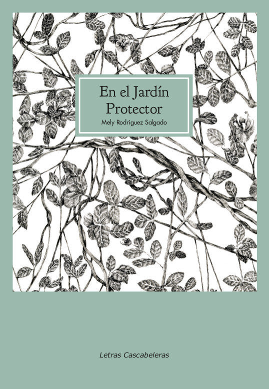 En el jardín protector, de Hermelinda Rodríguez Salgado | portada del libro