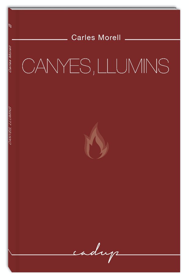 Canyes, llumins, de MORELL ALSINA | portada del libro