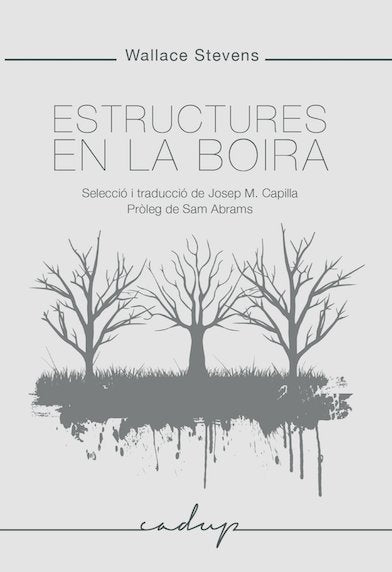 Estructures en la boira, de STEVENS | portada del libro