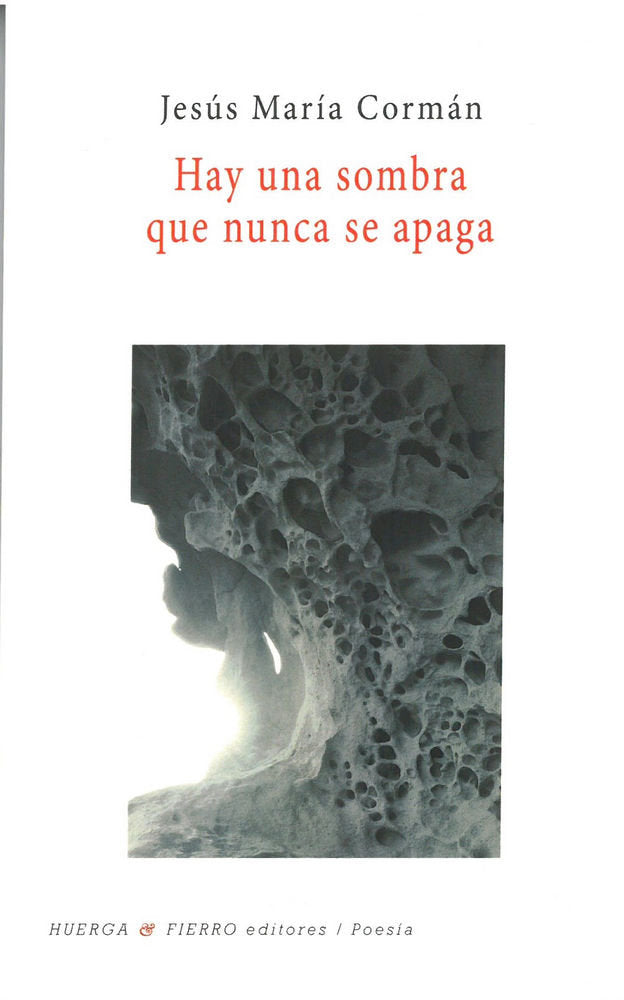 Hay una sombra que nunca se apaga, de Cormán Seco, Jesús Máría (1966-) | portada del libro