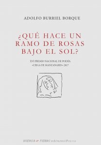 ¿Qué hace un ramo de rosas bajo el sol?, de Burriel Borque | portada del libro