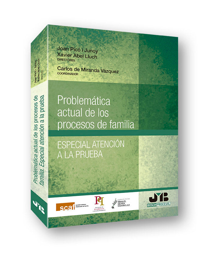 Problemática actual de los procesos de familia. Especial atención a la prueba, de Picó i Junoy (Dir.), Joan | portada del lib