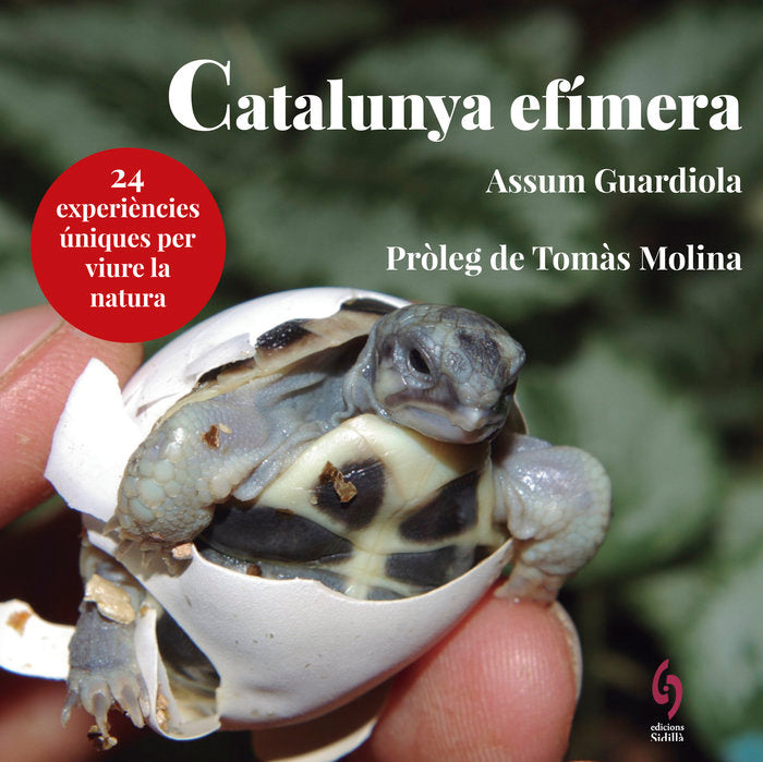 Catalunya efímera, de Guardiola, Assum | portada del libro