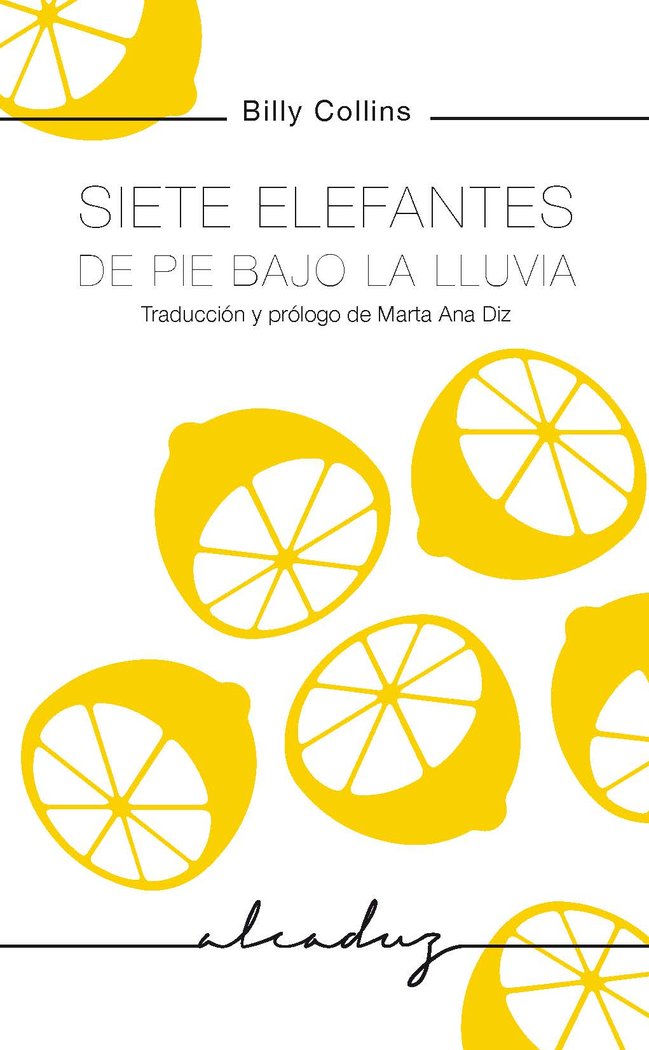 Siete elefantes de pie bajo la lluvia, de Collins, Billy | portada del libro