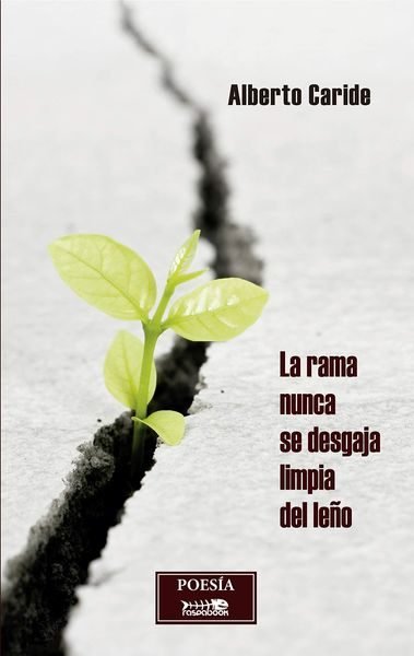 La rama nunca se desgaja limpia del leño, de Caride Brocal | portada del libro