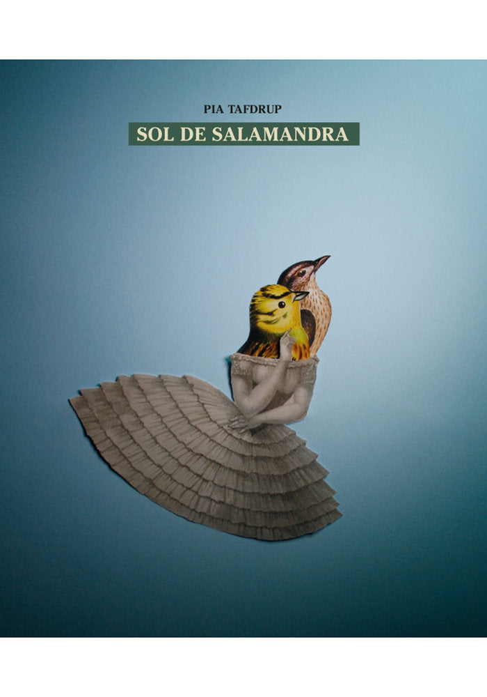 Sol de salamandra, de TAFDRUP, PIA | portada del libro