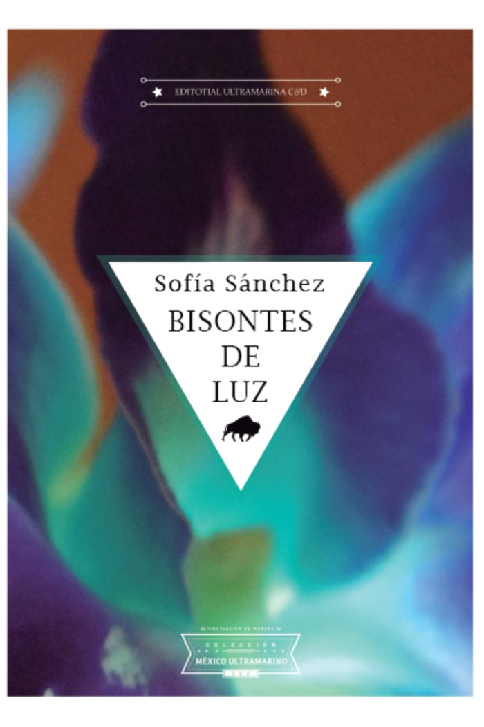 Bisontes de luz, de Sánchez, Sofía | portada del libro
