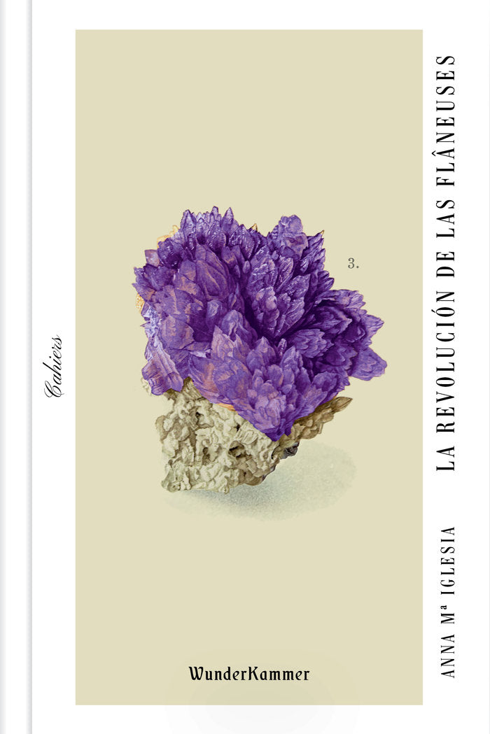 La revolución de las flâneuses, de Iglesia Pagnotta, Anna Mª | portada del libro