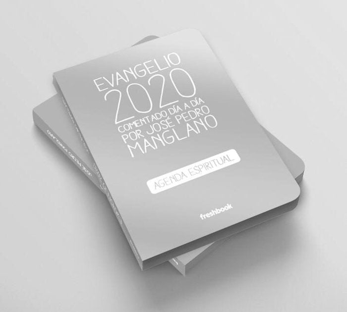 EVANGELIO 2020 COMENTADO DIA A DIA, de MANGLANO | portada del libro
