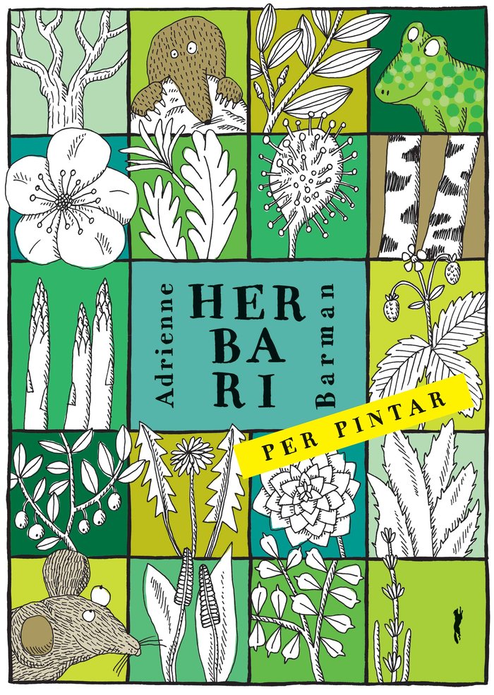 Herbari per pintar, de Barman, Adrianne | portada del libro