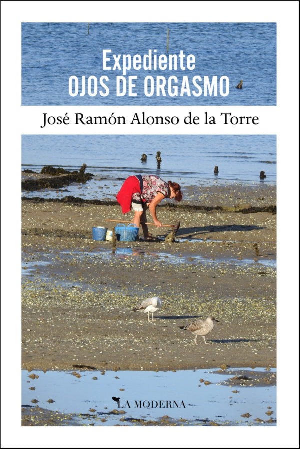 EXPEDIENTE OJOS DE ORGASMO, de ALONSO DE LA TORRE,JOSE RAMON | portada del libro