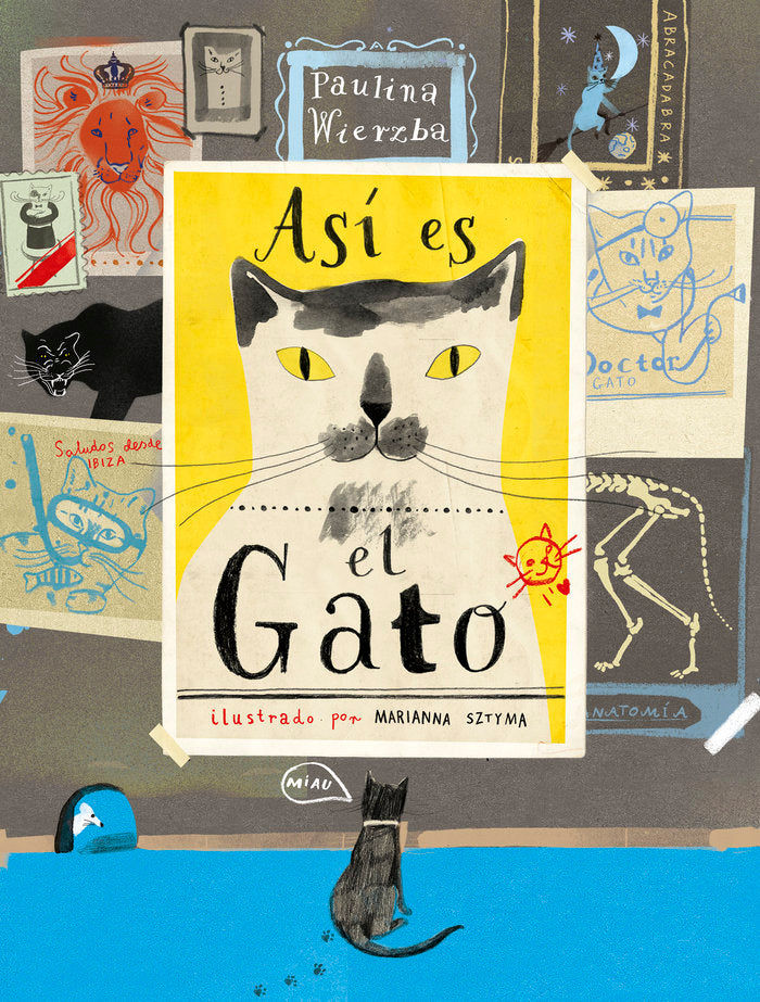 Así es el gato, de Wierzba, Paulina | portada del libro