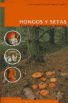 Hongos y setas, de Oria de Rueda, Juan Andrés | portada del libro