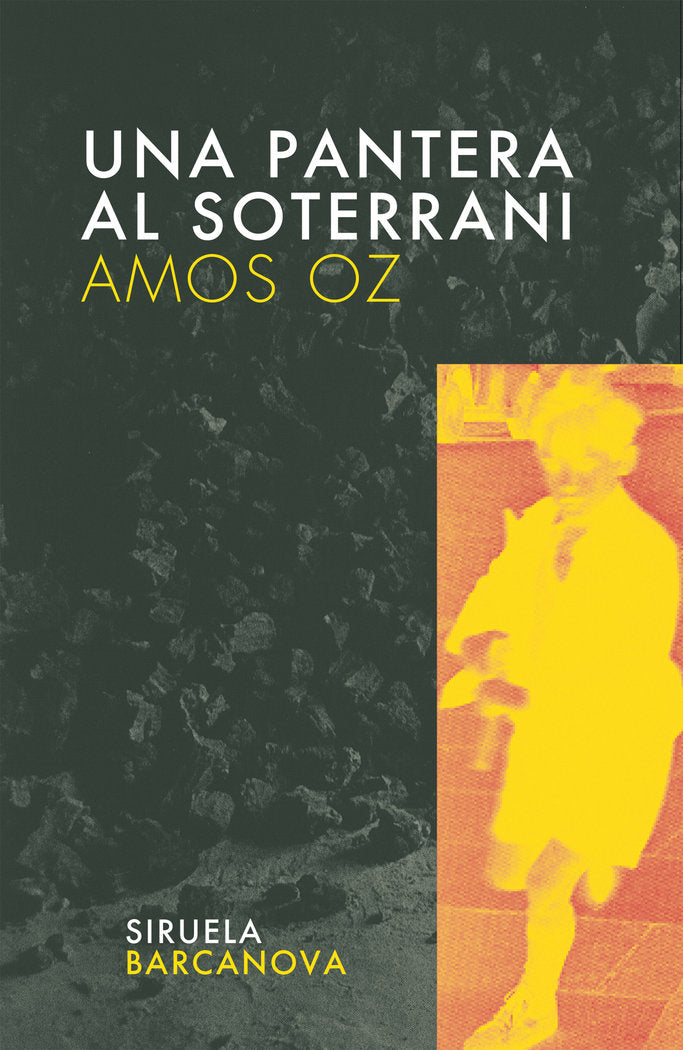 PANTERA AL SOTERRANI TE-3, de OZ, AMOS | portada del libro