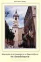 El palacio de la Condesa de la Vega del Pozo en Guadalajara, de ANDRES PEREZ ARRIBAS | portada del libro