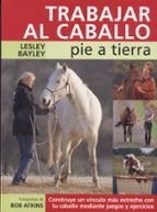 Trabajar al caballo pie a tierra, de Lesley Baylet | portada del libro