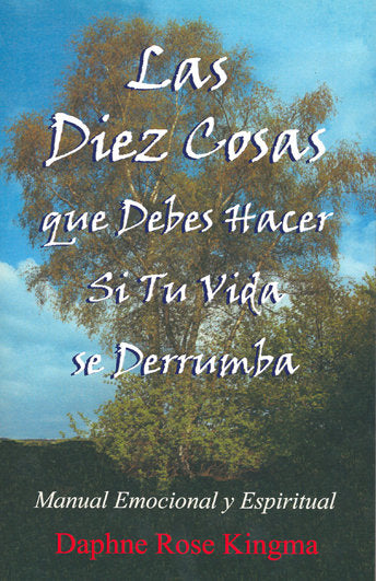 Las diez cosas que debes hacer si tu vida se derrumba., de Kingma, Daphne rose | portada del libro