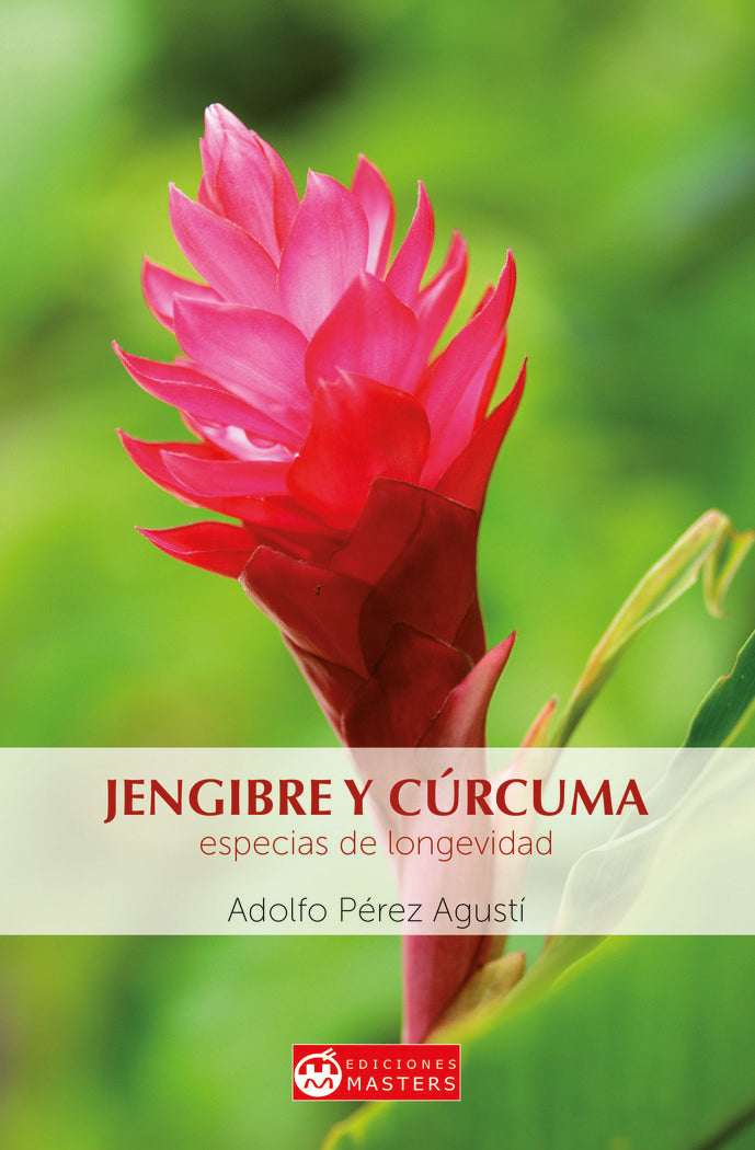 Jengibre y cúrcuma, de Pérez Agustí, Adolfo | portada del libro