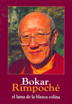 Bokar rimpoché, de Cheukyi | portada del libro