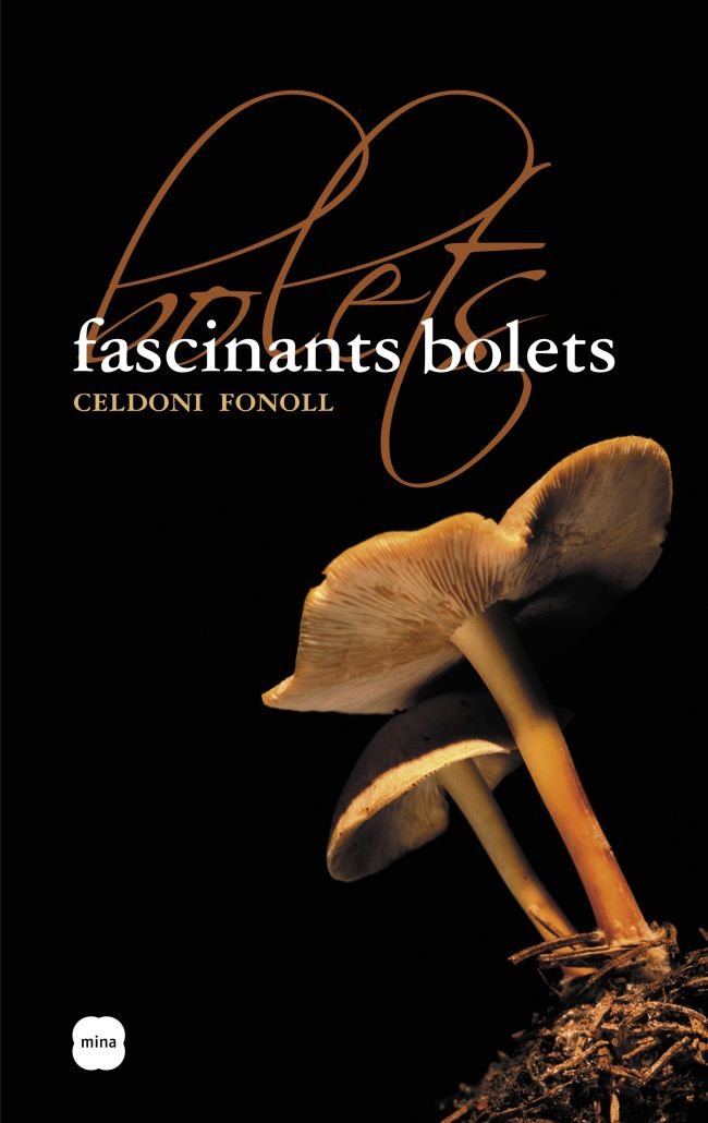 Fascinants bolets, de Pascual Lluvia | portada del libro