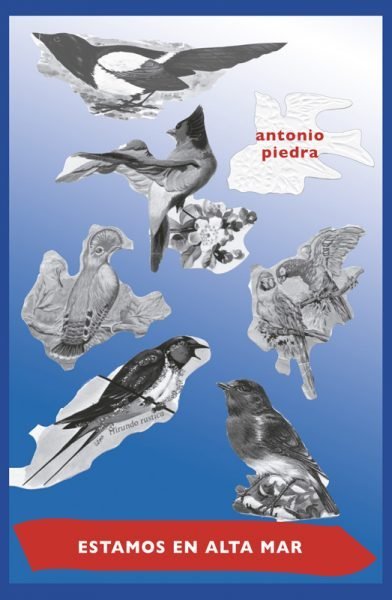 ESTAMOS EL ALTA MAR, de PIEDRA BORREGON | portada del libro