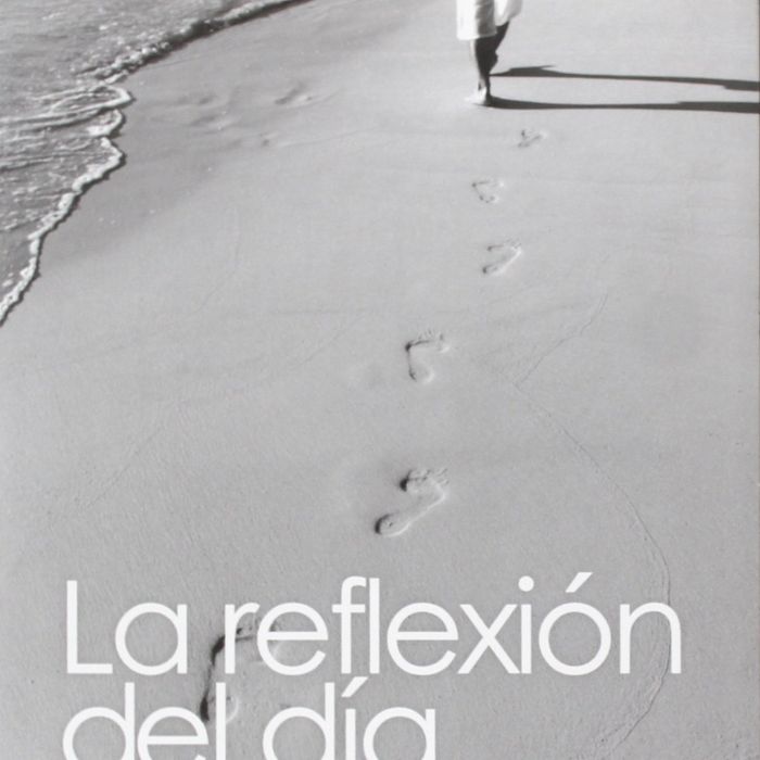 La reflexión del d¡a, de Sasplugas Vilasau, Joan Carles | portada del libro