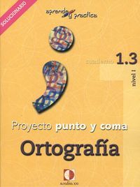 Aprende y practica, punto y coma, ortografía, 1.3. Libro profesor, de Sánchez Pérez | portada del libro