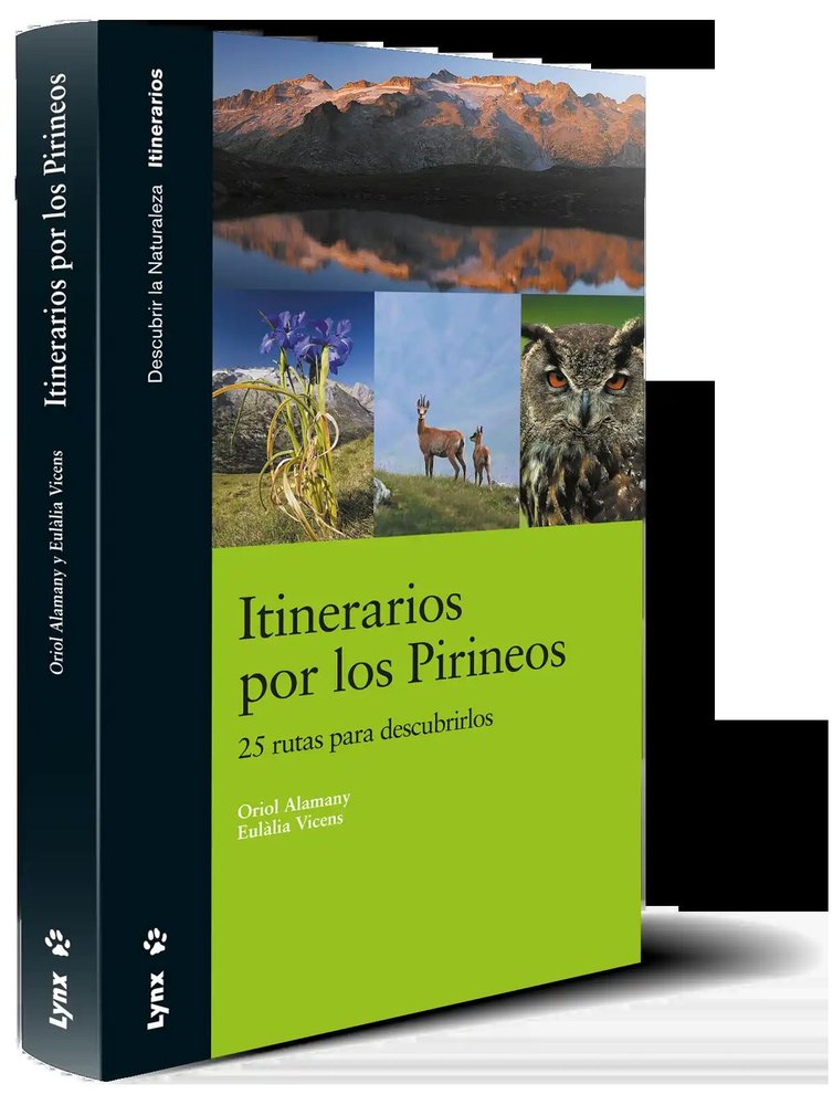 Itinerarios por los Pirineos. 24 rutas para descubrirlos., de Alamany, Oriol | portada del libro