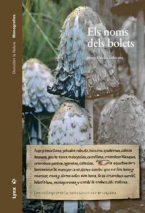 ELS NOMS DELS BOLETS, de Cuello Subirana | portada del libro