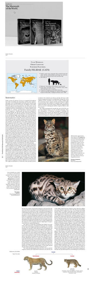Handbook of the Mammals of the World (obra completa), de Varios autores | portada del libro