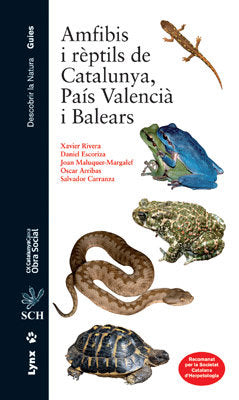 Amfibis i rèptils de Catalunya, País Valencià i Balears, de Rivera | portada del libro