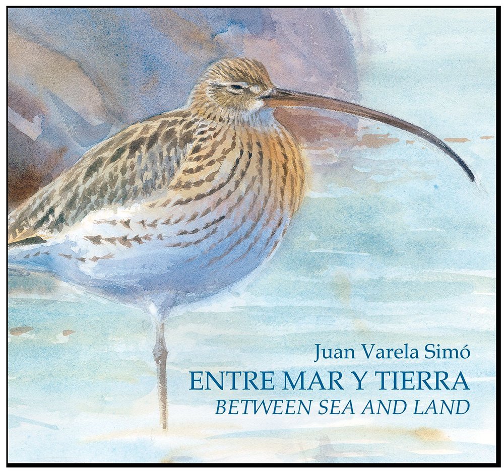 Entre Mar y Tierra / Between Sea and Land, de Varela Simó, Juan | portada del libro