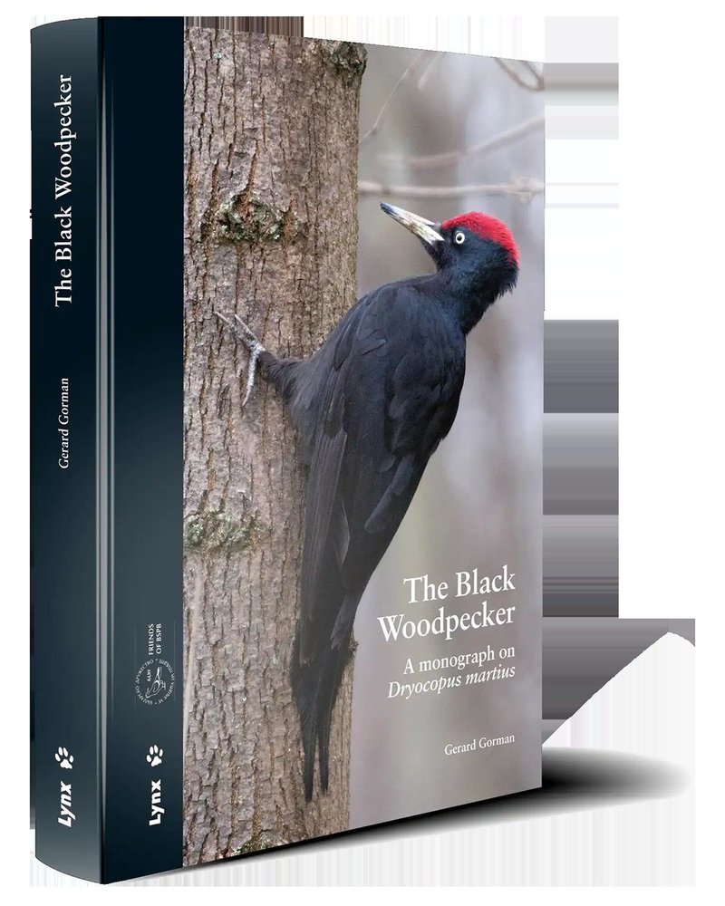 The Black Woodpecker, de Gorman, Gerard | portada del libro