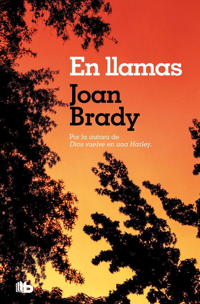 En llamas, de Brady, Joan | portada del libro