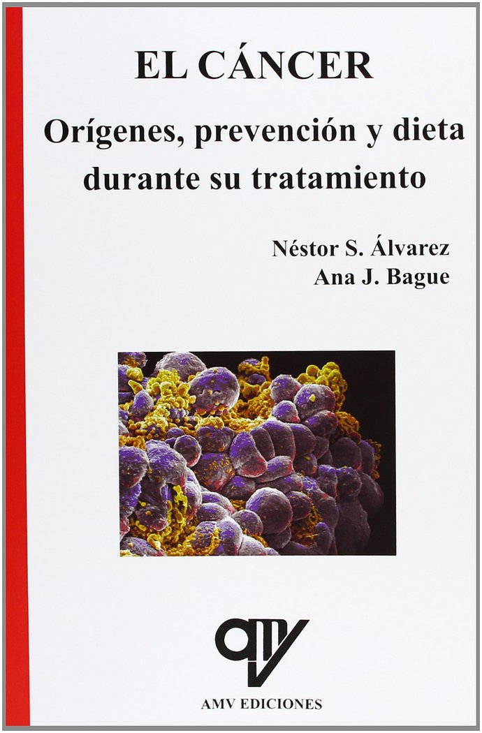 DISEÑO E INSTALACION DE SISTEMAS DE VIDEOVIGILANCIA CCTV DIGITALES, de MADRID VICENTE | portada del libro