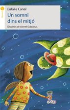 Un somni dins el mitjó, de Eulàlia Canal | portada del libro