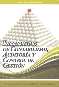 Diccionario de Contabilidad, Auditoría y Control de Gestión, de Mora Enguídanos, Araceli | portada del libro