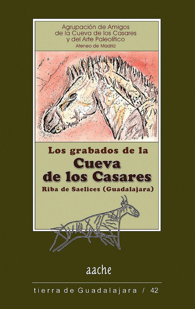 Grabados de la Cueva de los Casares, Riba de Saelices (Guadalajara), de Acosta González | portada del libro