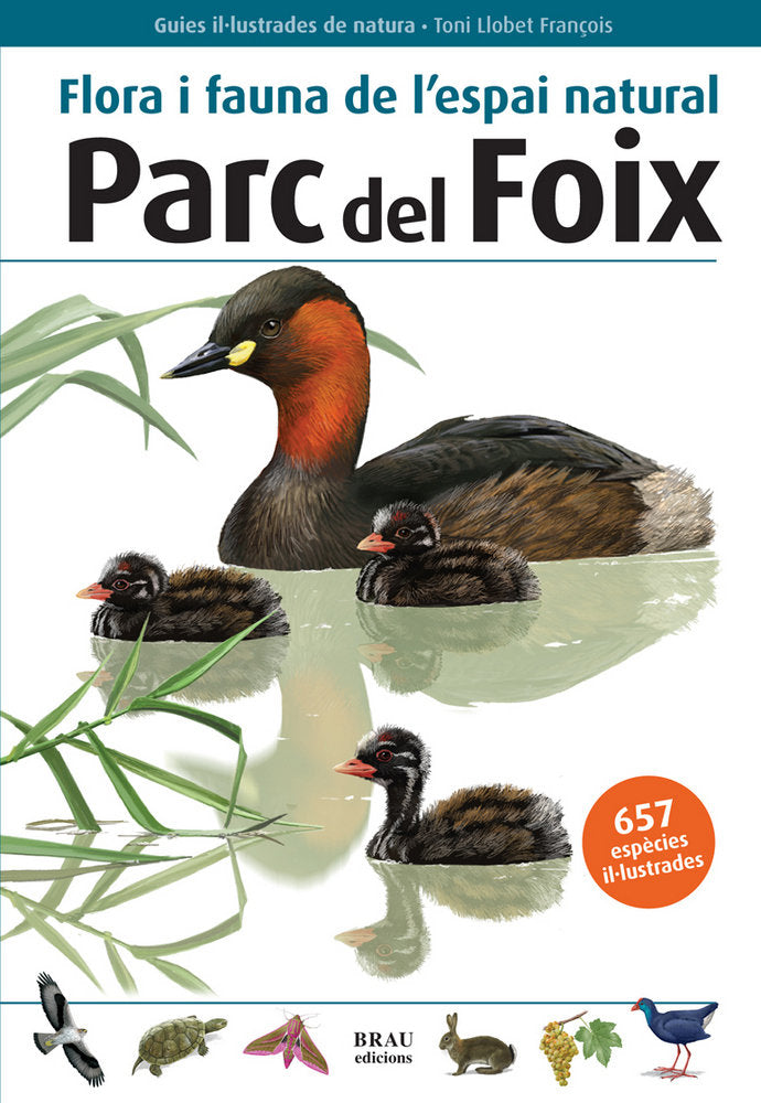 Flora i fauna de l'espai natural Parc del Foix, de Bayer González | portada del libro