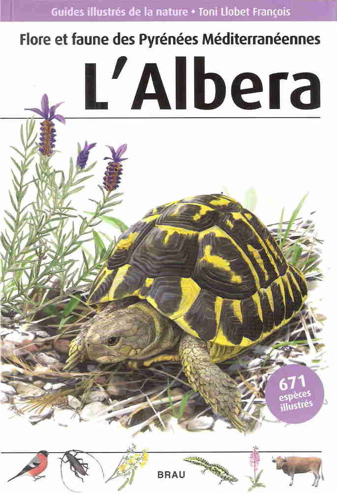 Flore et faune des Pyrénées Mediterranéennnes. L'Albera, de Budó Ricart, Joan | portada del libro