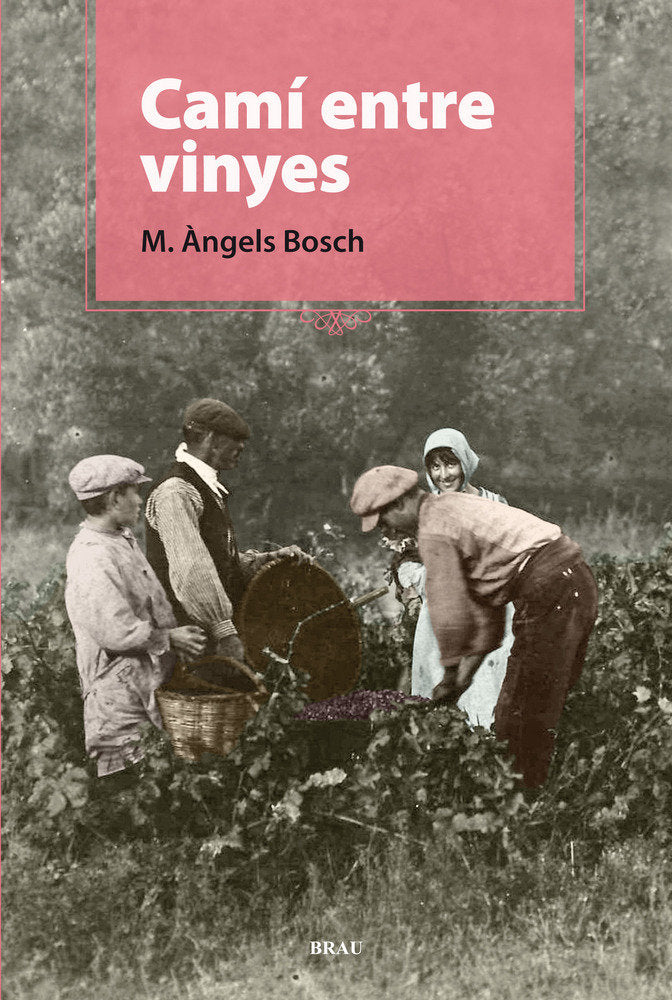 Camí entre vinyes, de Bosch Castelló, M. Àngels | portada del libro